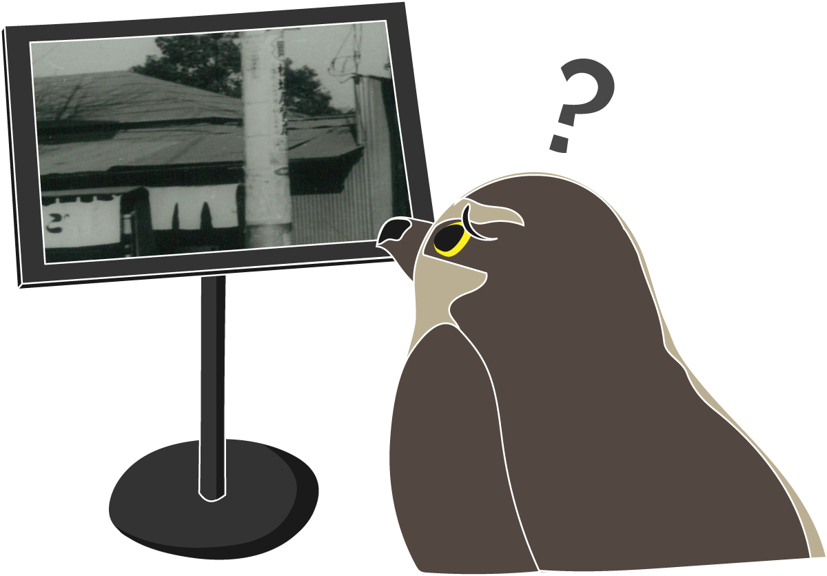 クイズイメージ